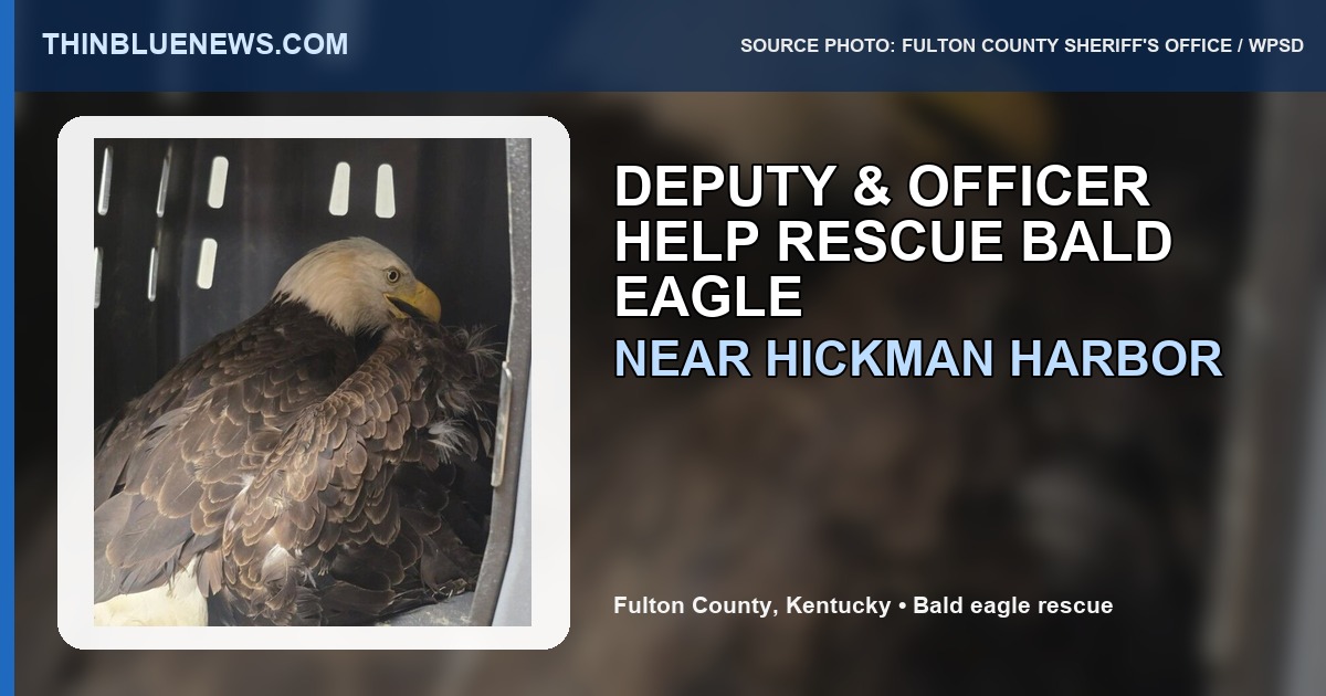 Fulton County Sheriff's Office source photo via WPSD Local 6 showing a rescued bald eagle in a transport cage after Deputy Jay Black and Officer Matt Hayes responded near Hickman Harbor; ThinBlueNews added headline overlay.