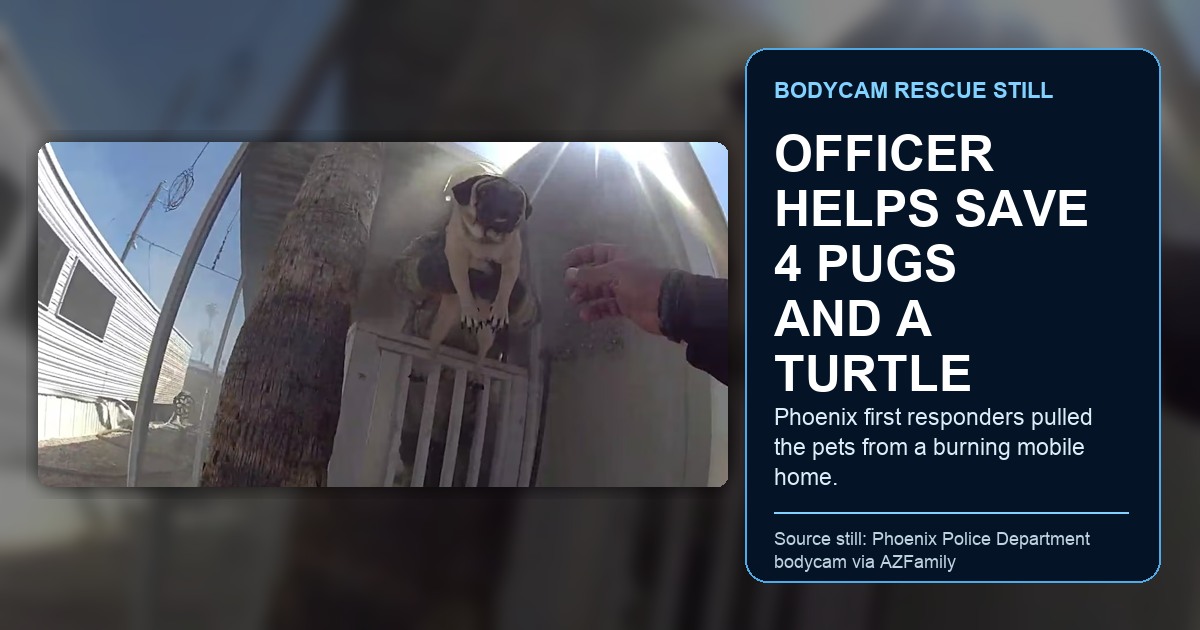 Phoenix Police Department bodycam source still, as published by AZFamily, showing a pug being handed toward a first responder outside a smoke-filled mobile home; ThinBlueNews added headline and source labeling.