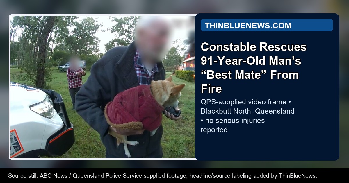 ABC News frame from Queensland Police Service supplied body-worn camera footage showing Constable Kieren Trannore rescuing Candice the Chihuahua from a Blackbutt North house fire, with ThinBlueNews headline and source labeling added.