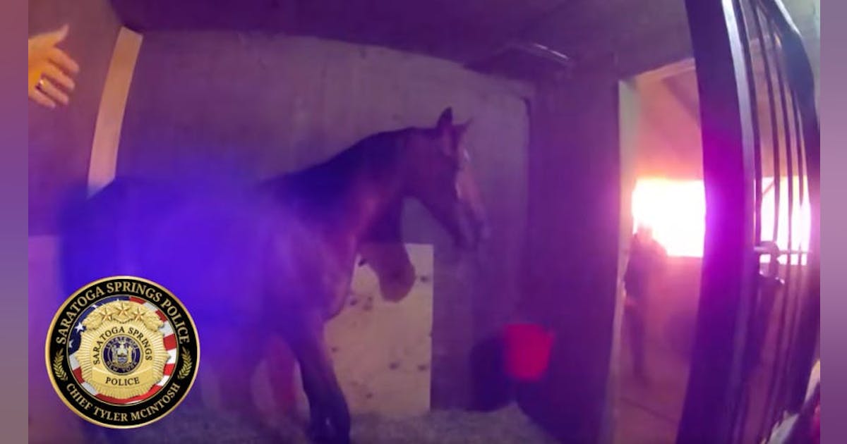 True Saratoga Springs Police body-camera frame showing an officer helping a horse leave a stall during a nearby barn fire
