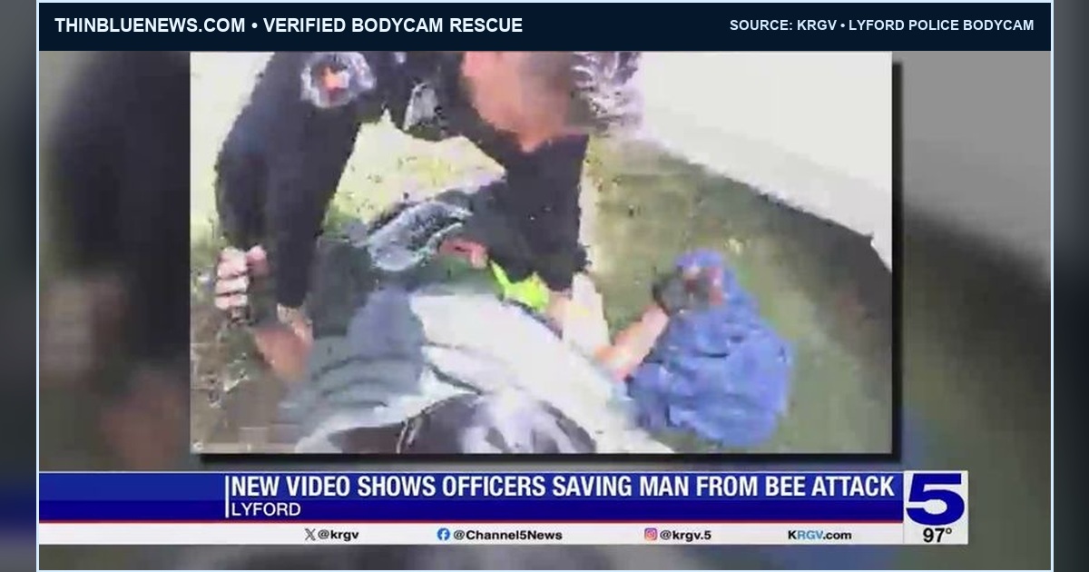 ThinBlueNews editorial image preserving a genuine KRGV news frame from Lyford police body-camera footage, showing officers lifting a man from the ground during a bee-swarm rescue; KRGV source labeling remains visible.
