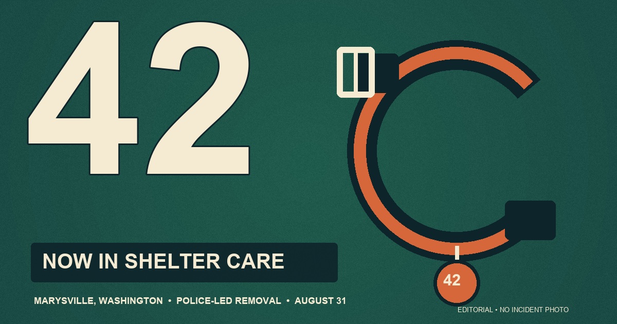 ThinBlueNews original editorial illustration featuring the number 42 and an open dog collar beside the words In Shelter Care; no dog, person or incident scene is depicted.
